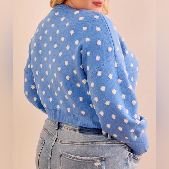 NWT Arula Hailey dot sweater, Arula size B, 2X - Picture 3 of 6